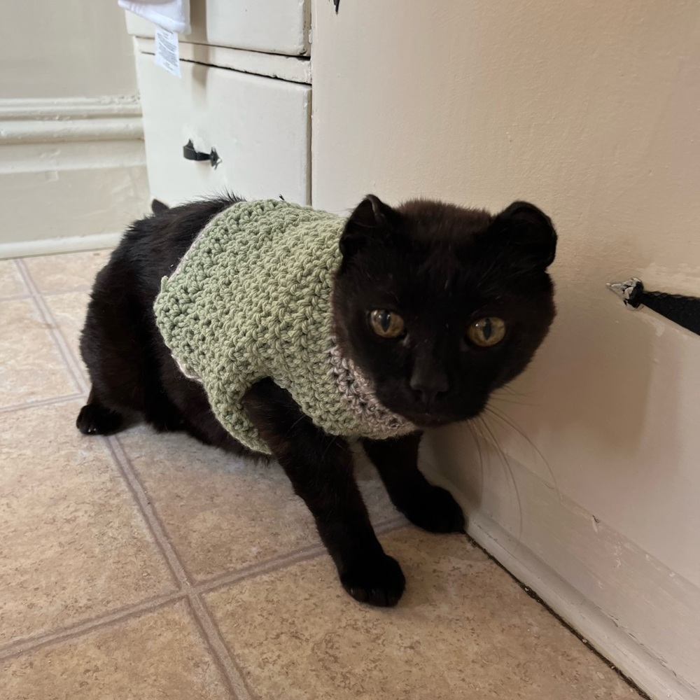 Handmade sweater for cat/small dog